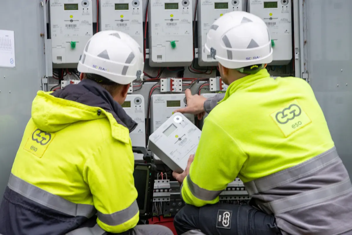 ESO ir „Litgrid“: susijungiant su Europos elektros tinklais jokių veiksmų gyventojams atlikti nereikia