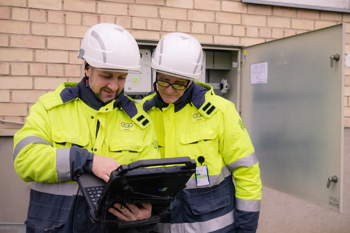 Alytaus apskrityje išmaniuosius skaitiklius diegiantys ESO inžinieriai: už išaugusio elektros suvartojimo dažnai „slepiasi“ pamiršti prietaisai