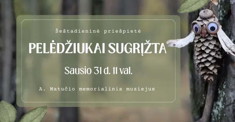 Šeštadieninė priešpietė „Pelėdžiukai sugrįžta“