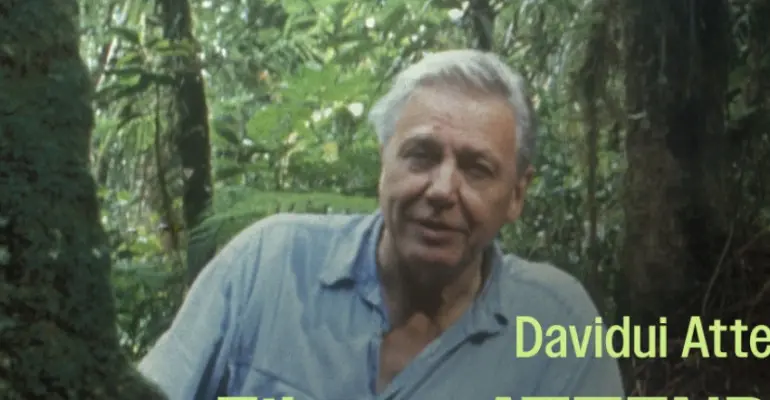 SENGIRĖS KINAS: filmo „Attenborough rojuje“ peržiūra