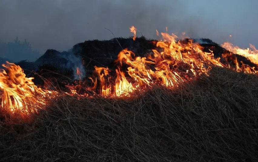 Žolės padegėjai stebimi dronais, pažeidėjams skiriamos baudos
