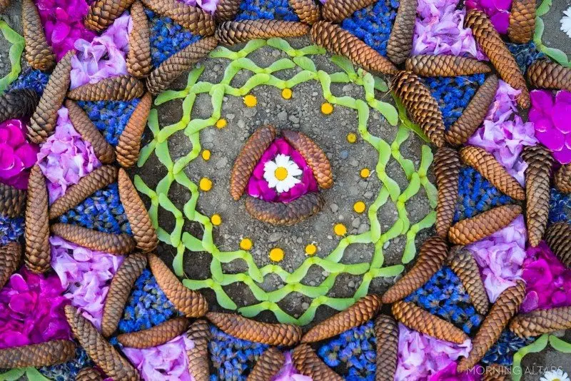 Artėjant miesto dienos šventei, kviečiame kurti mandalas iš gėlių