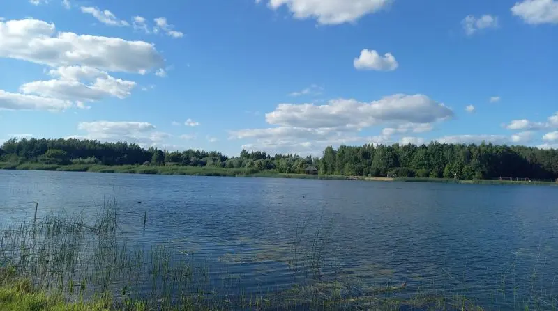 Joniškio rajono vandens telkinių kokybė