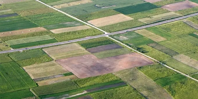 NŽT primena: kas žinotina apie valstybinės žemės ūkio paskirties žemės nuomą ir pardavimą