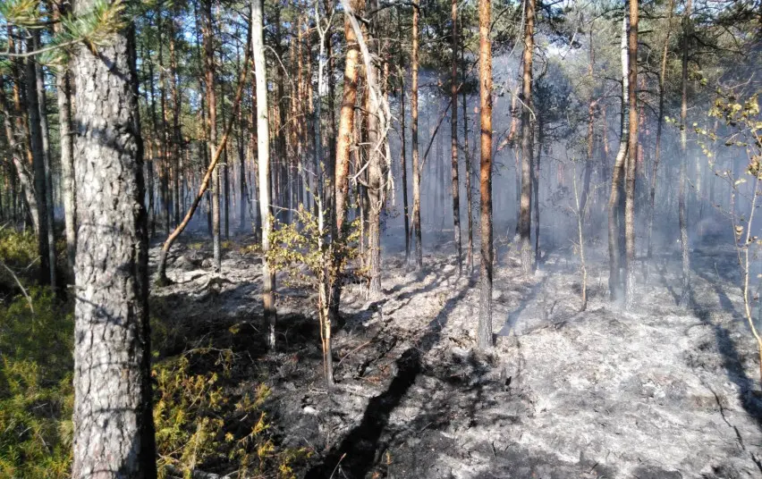 Pavasariniams gaisrams užkardyti – prevenciniai miškininkų reidai