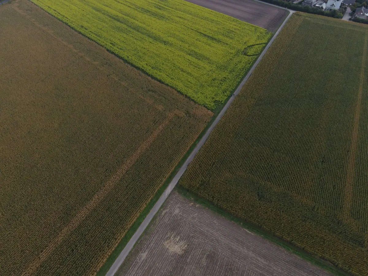 Prasideda 2026 m. pasėlių ir žemės ūkio naudmenų deklaravimas