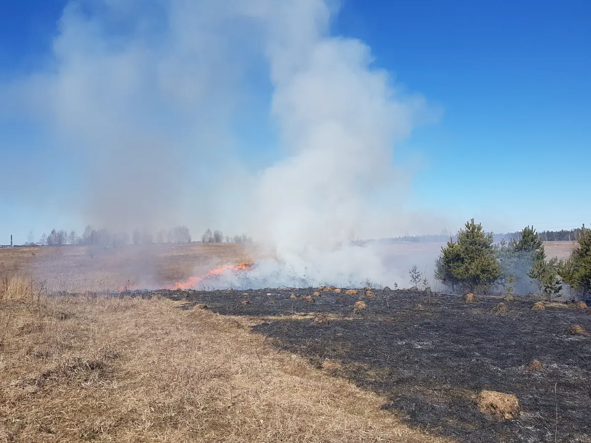 Savaitgalio gaisrai: degė žolė, butai, namai ir net… pinigai