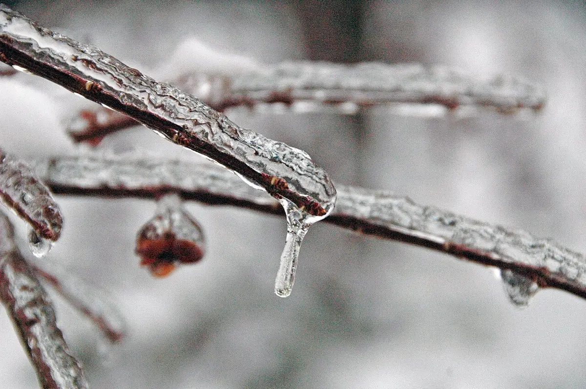 Lietuvos hidrometeorologijos tarnyba perspėja apie lijundrą