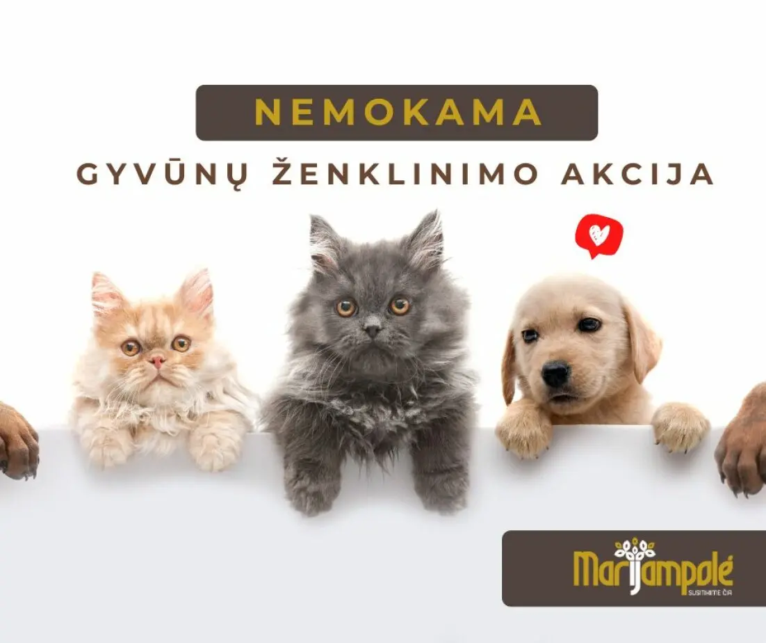 Nemokama augintinių ženklinimo akcija Marijampolėje