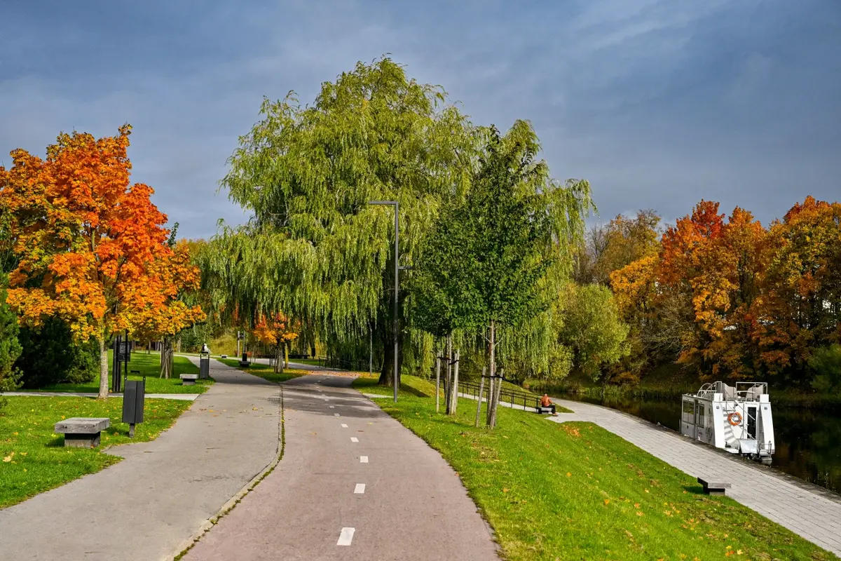 Panevėžys – tarp žaliausių šalies savivaldybių