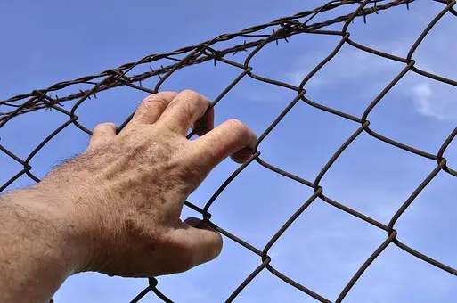 Griežtą nuosprendį išgirdęs panevėžietis suimtas teismo salėje