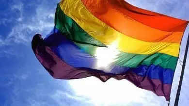 Daugiau nei šimtas psichologų ir psichoterapeutų ragina priimti partnerystės įstatymą
