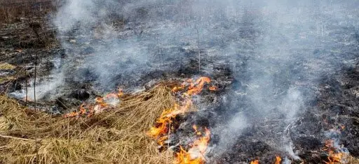 Radviliškyje degė atvira teritorija