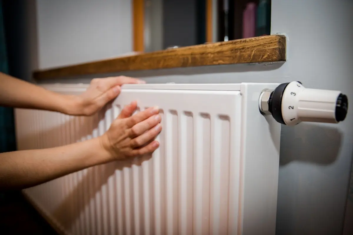 Aktualu norintiems gauti būsto šildymo išlaidų kompensaciją, kai būstas šildomas malkomis, anglimis, dujomis ar elektra