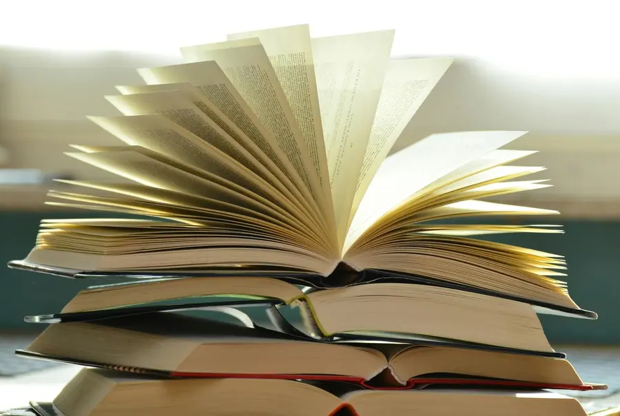 Patvirtintos pedagogų kvalifikacijos tobulinimo prioritetinės sritys 2026–2028 metams