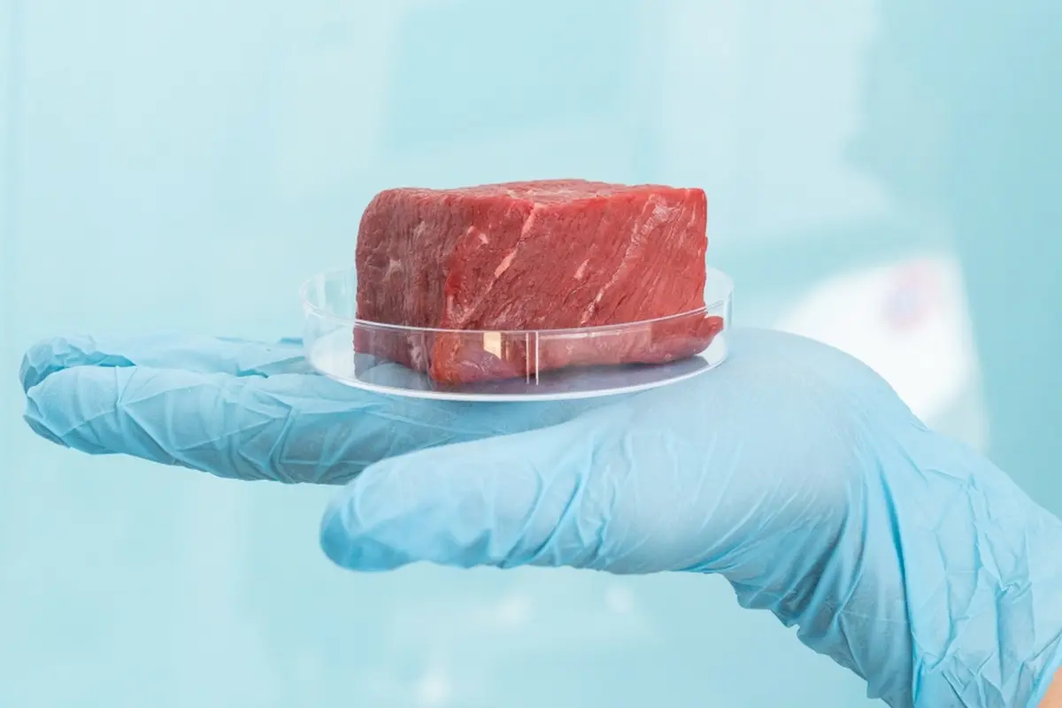 Griežtėja maisto saugos kontrolė: Europos Komisija atnaujino gaires dėl bakterijų Listeria monocytogenes