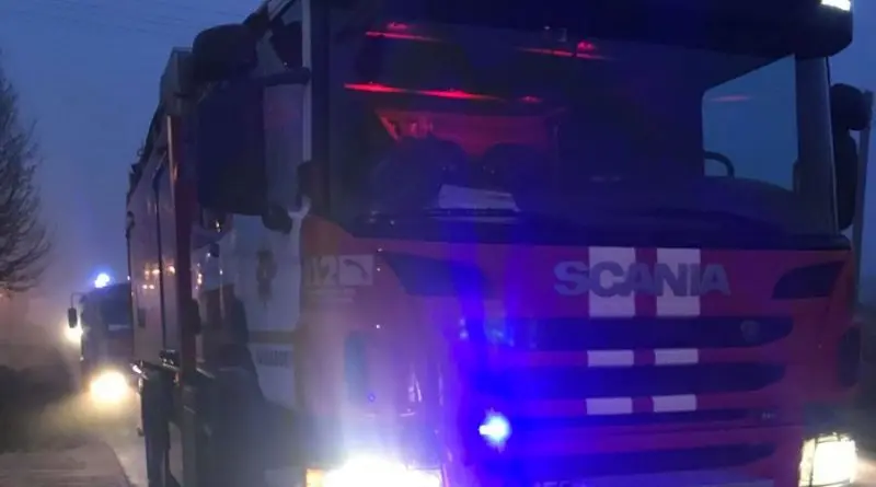 Apsivertęs automobilis Raseinių rajone – išgelbėti du šuniukai