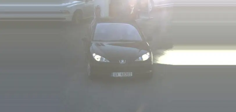 Raseinių policija prašo pagalbos!