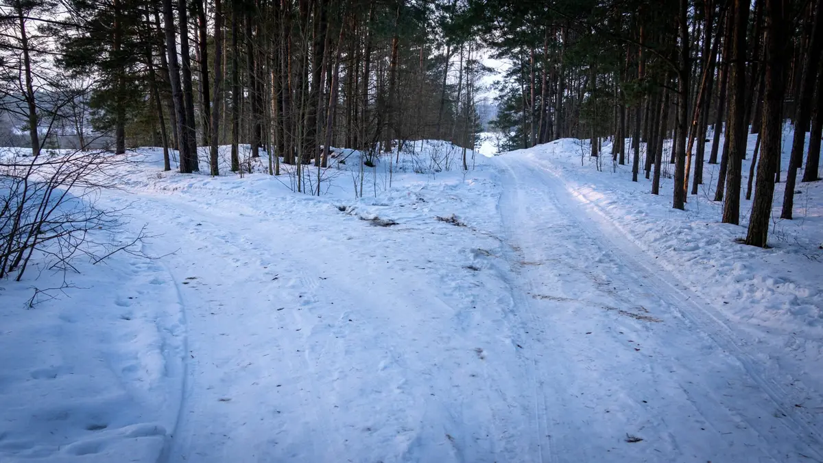 Teismo sprendimas dviejų vyrų nužudymo byloje – kovą