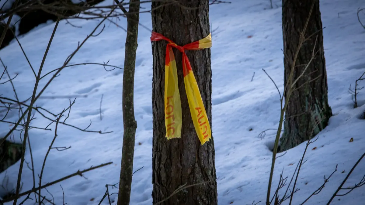 Dviejų vyrų nužudymo byloje teismas paskelbė nuosprendį