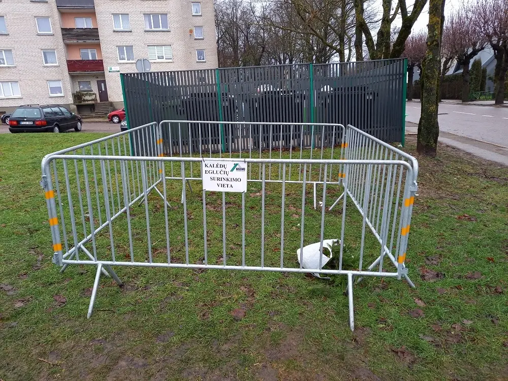 Raseiniuose bus surenkamos kalėdinės eglutės