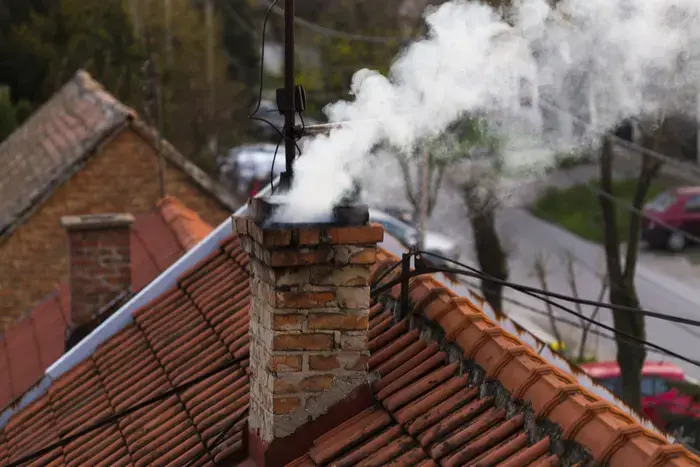 Roges ruošk vasarą!