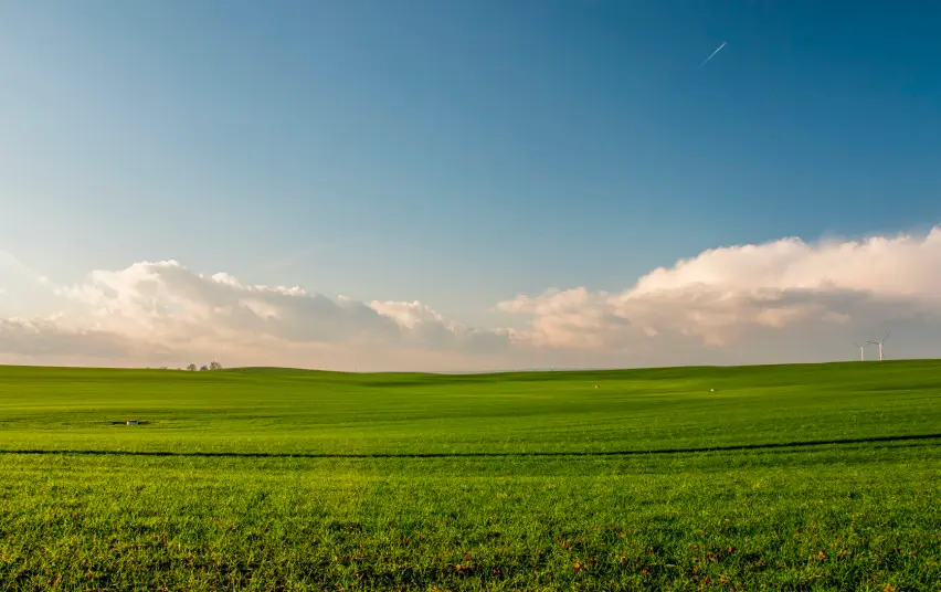Rudeninio tręšimo aktualijos