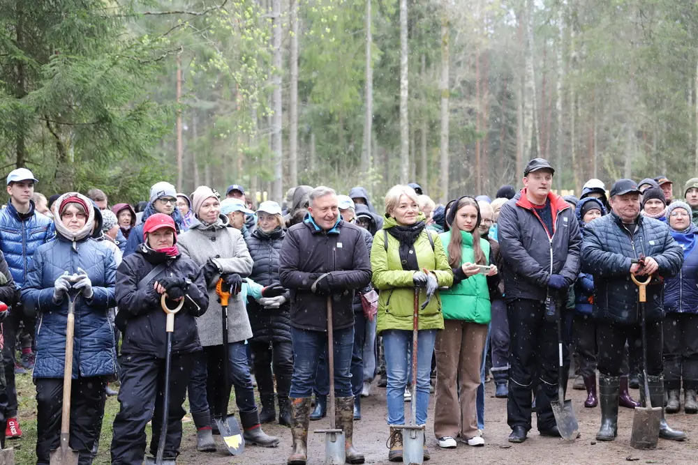 Raseiniškiai dalyvavo nacionaliniame miškasodyje „Kad giria žaliuotų“