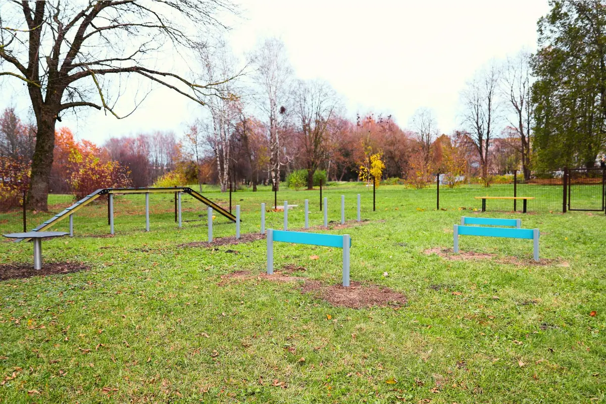 Raseinių šimtmečio parke – atidaroma pirmoji šunų vedžiojimo ir dresavimo aikštelė