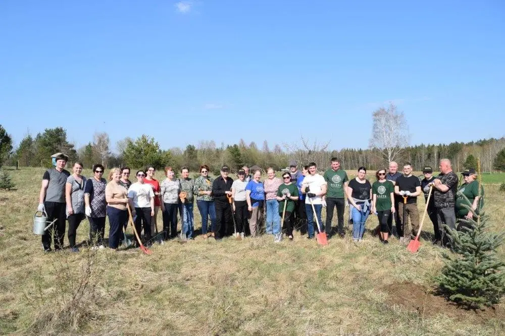 Šiluvoje pasodintos Kalėdų eglutės džiugins ilgus metus