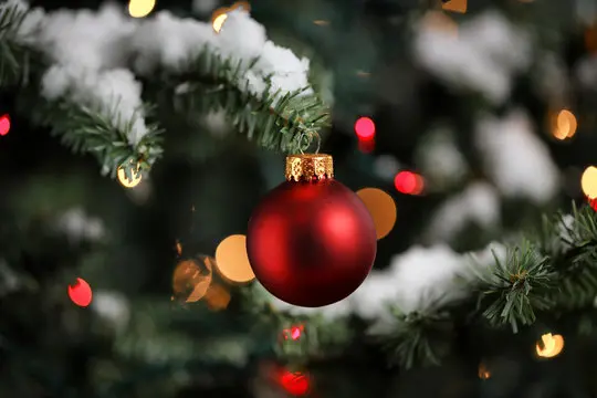 Savaitės klausimas: Ar Raseiniuose metas keisti tradiciją? Diskusija dėl Kalėdinės eglės įžiebimo datos įsiliepsnojo
