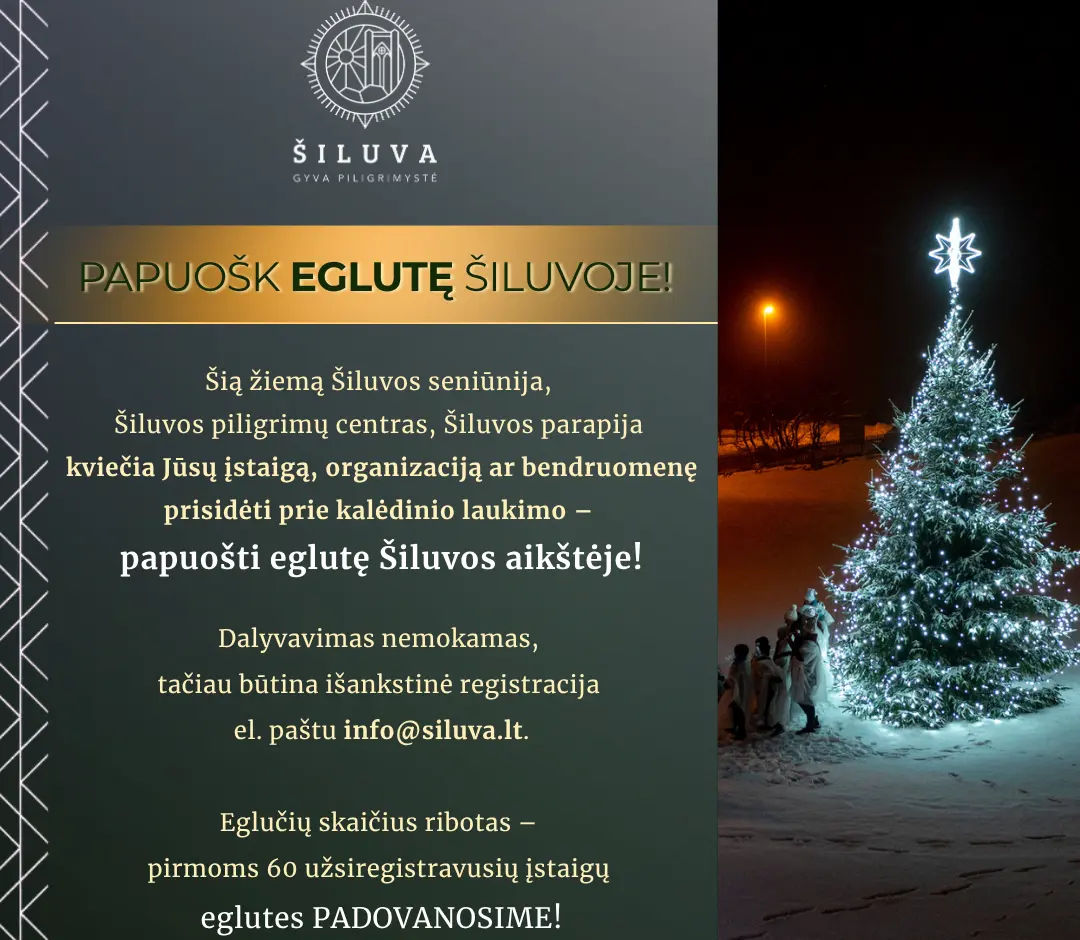 Papuošk eglutę Šiluvoje
