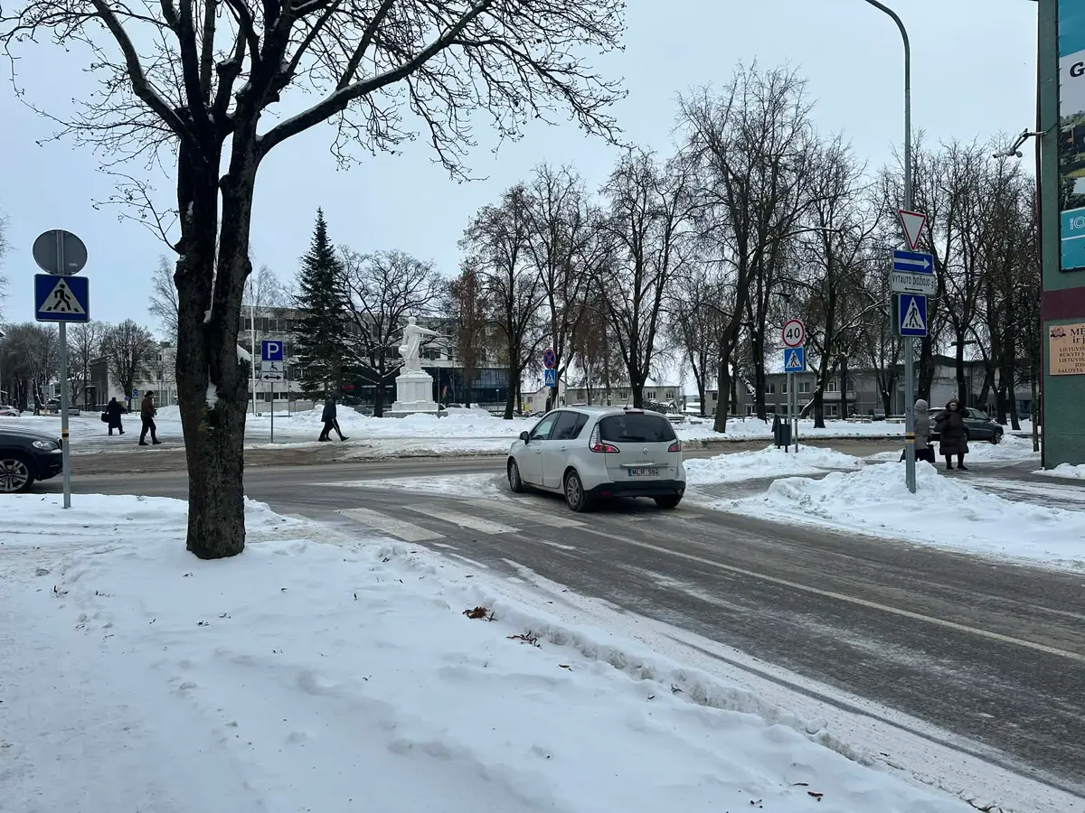 SAVAITĖS KLAUSIMAS: Kuri Raseinių rajono seniūnija su žiemos stichija susitvarkė geriausiai?