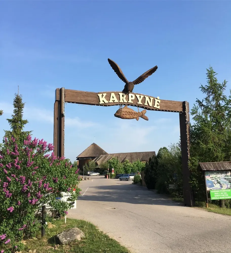 Sodybos „Karpynė“ aikštelėje apgadintas „Peugeot Partner“