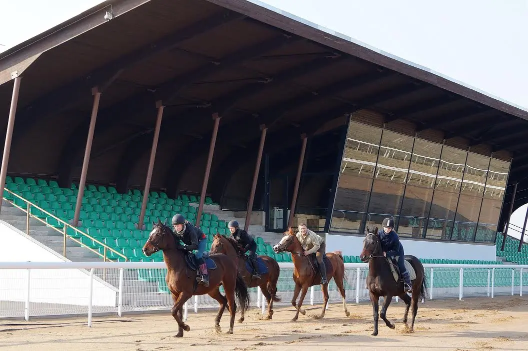 Skelbiamas viešasis Raseinių hipodromo nuomos konkursas
