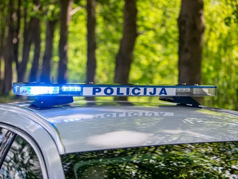 Šakių rajone ieškoma dingusi nepilnametė
