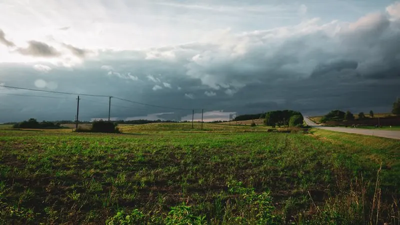 Lietuvos ūkininkams išartų pievų šiemet atkurti nereikės