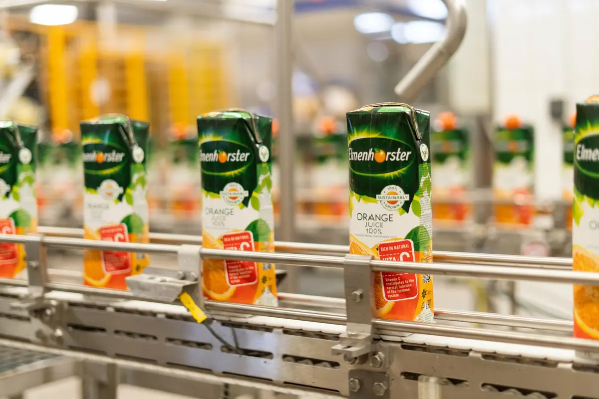 Maisto produkto galiojimo laikas: ką svarbu žinoti