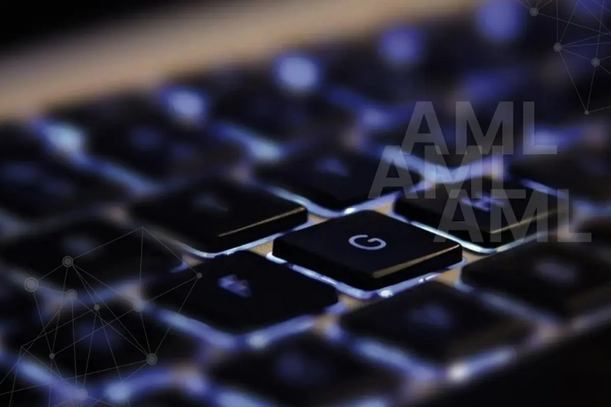 Informacija finansinės apskaitos ir mokesčių konsultavimo paslaugas teikiantiems asmenims ir bendrovėms dėl informacijos FNTT teikimo