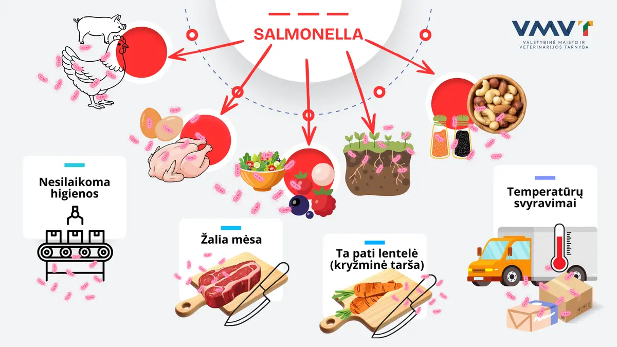 Salmonella infografikas.png