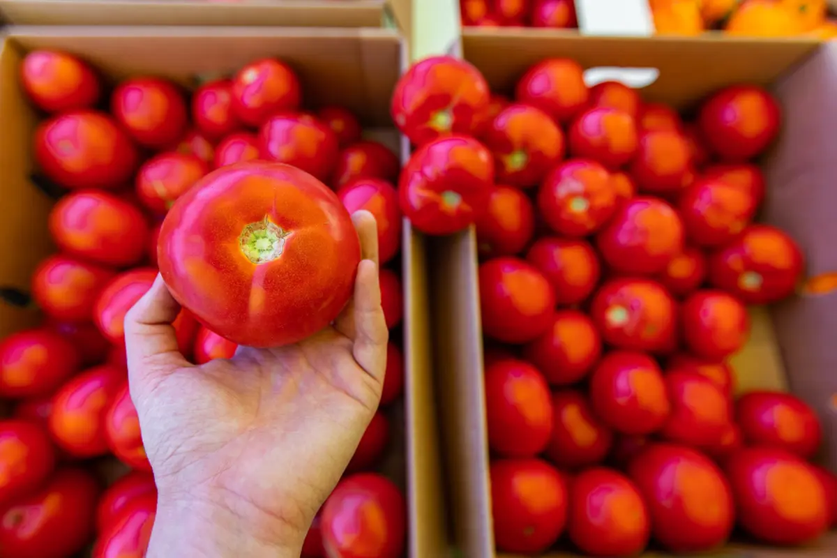 Mugių sezonas prasideda: ką privalo žinoti maisto prekiautojai?