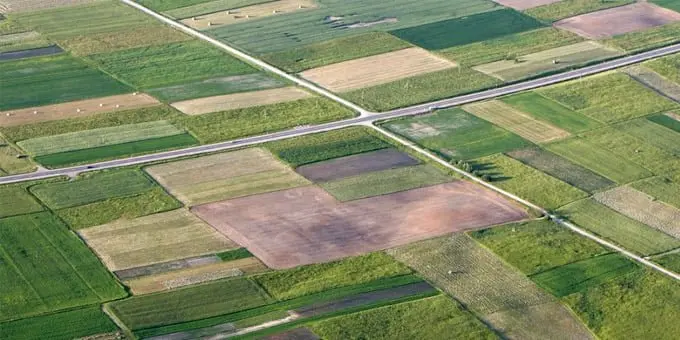NŽT primena: kas žinotina apie valstybinės žemės ūkio paskirties žemės nuomą ir pardavimą