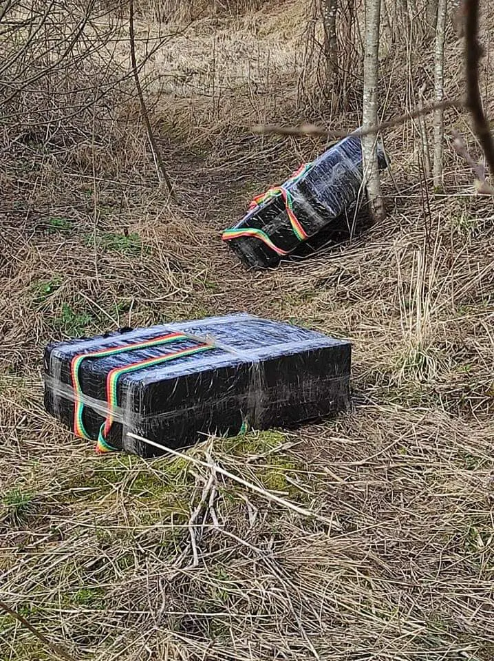 Ne tarnyboje buvęs pasienietis padėjo sulaikyti kontrabandinių cigarečių krovinį ir jo nešiką