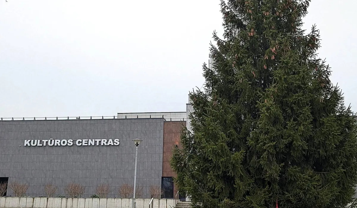Į Šilalę atkeliavo gyventojų dovanota Kalėdų eglė