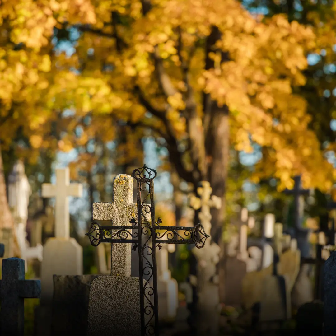 Artimųjų kapaviečių paieška – skaitmeninėje sistemoje „Cemety“