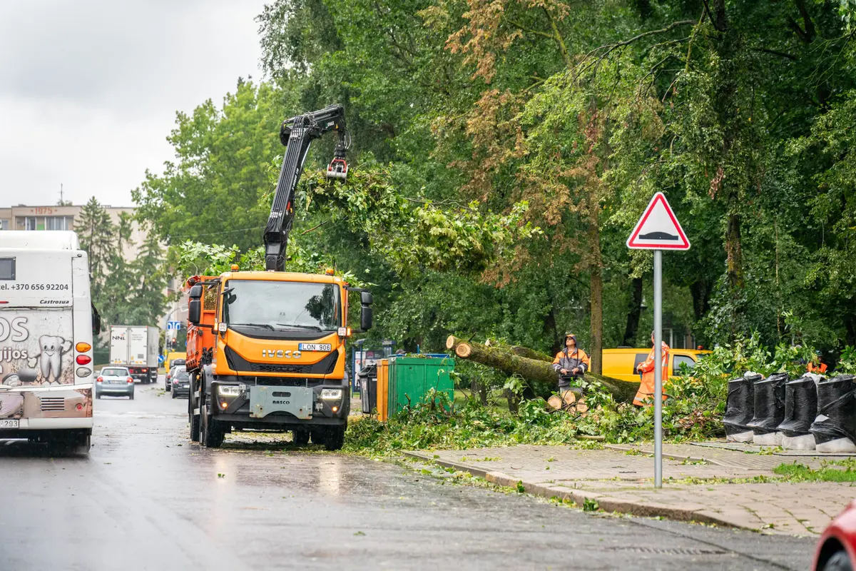 Panevėžyje tęsiami po audros kritusių medžių tvarkymo darbai