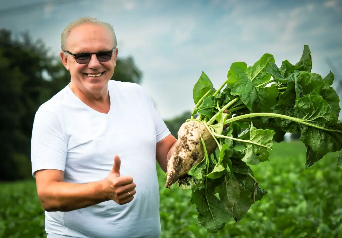 Apelsinų mėgėjams teks susitaikyti, jog pasaulyje siaučiančios citrusinių vaisių ligos išaugins jų kainas
