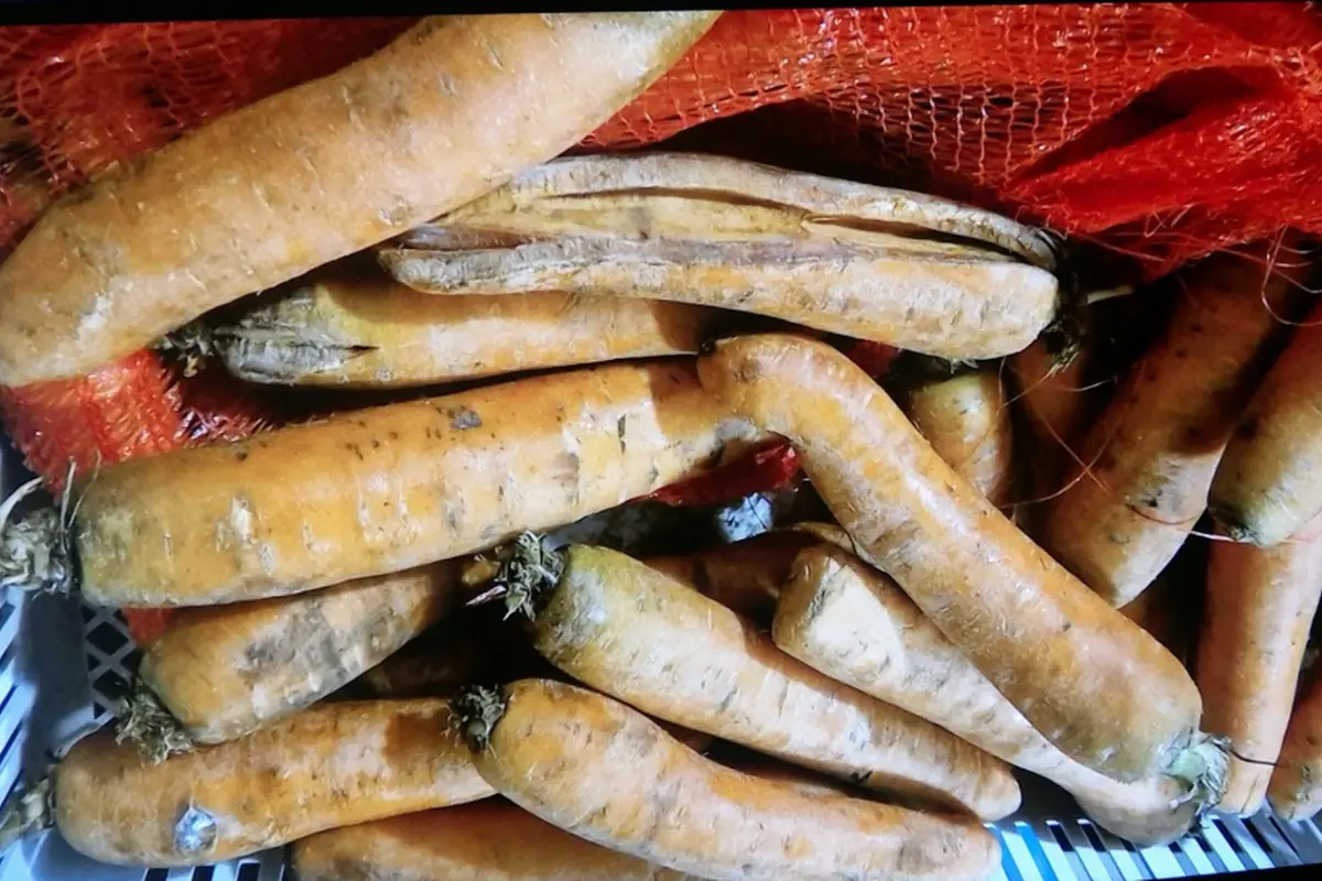 Maitinimą darželyje Kaišiadorių rajone organizuojanti įmonė sulaukė griežtų VMVT sankcijų