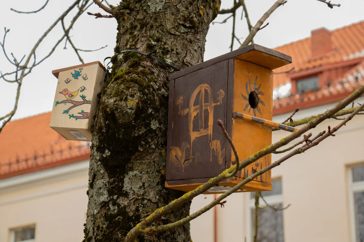 Pasaulinė žemės diena Šiauliuose: darnus gamtos ir kultūros ryšys