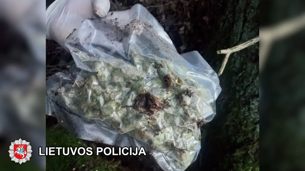 Narkotikus slėpė po žeme, o uždarbį skaičiavo kriptovaliuta: pareigūnai perėmė 2,7 kg kvaišalų